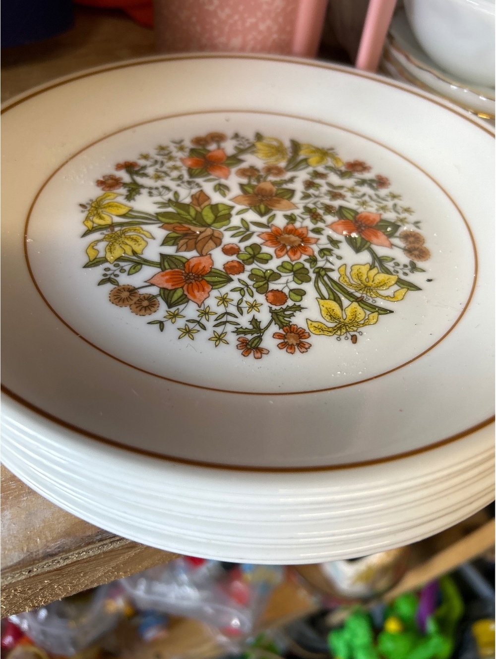 CORELLE some Indian salad plates